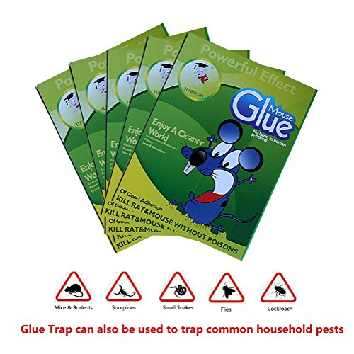 Coopache Mouse Sticky Trap Glue Mouse Trap for Rats Mice Snake Chipmunk Rodent (5 Pack)