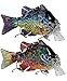Sunrise Angler 4 Inch Bluegill Jointed Swimbait | Sinking Hard Bait Fishing Lure for Freshwater Game Fishing with Textured Lifelike Skin, Curvy 'S' Swim and 3D Prismatic Eyes