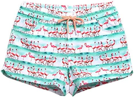 Wishwhat Women's Summer Flamingo Cooler Boardshorts Beach Shorts (L)