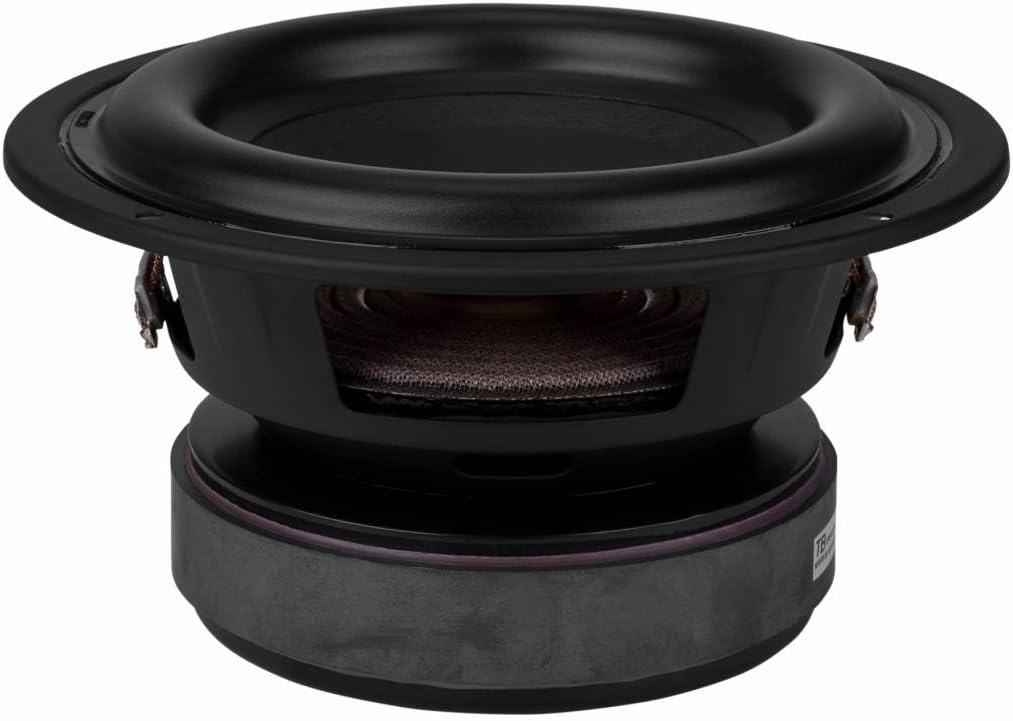 tang band 8 inch subwoofer