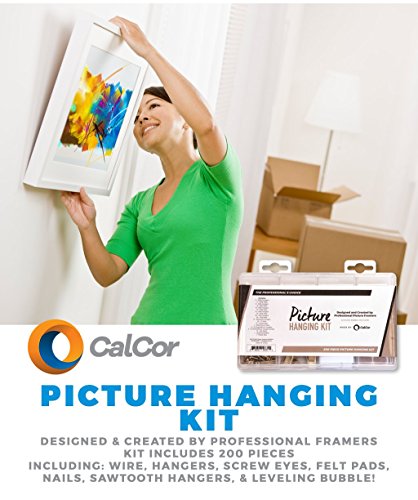 Picture Frame Hanging Kit With 200 Pieces By Calcor