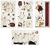 RoomMates RMK1255SCS Chefs Peel and Stick Wall Decals ,Multicolor