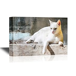 Cats Canvas Wall Art - White Cat Lying with Vintage Wall Background - Gallery Wrap Modern Home Art | Ready to Hang - 12x18 inches