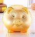 Mose Cafolo Gold Piggy Bank ~ We Wish You Wealth and Success Saving Box Piggy Bank Coin Bank for Home Decor, Holiday and Birthday Gift