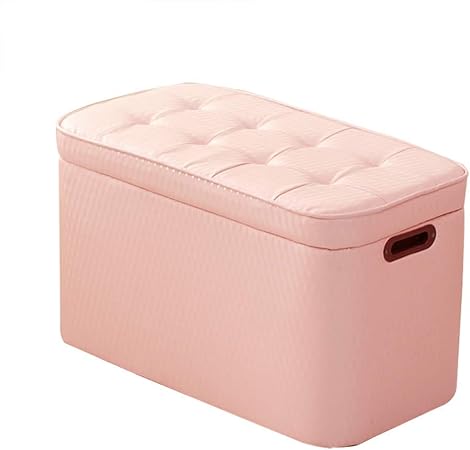 DBWIN Otomana de Almacenamiento Banco de Zapatos con 2 Asas, Piel