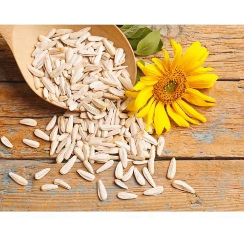 ARIAZU Semilla de Girasol 1 kg sin cascara pelada cruda Pepita de Girasol envase de plastico Reusable