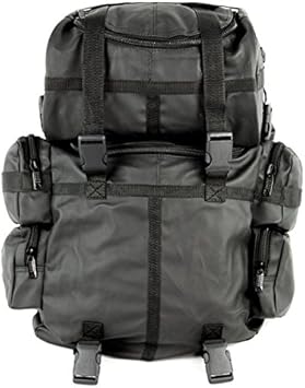 sissy bar bags amazon