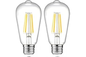 12V LED Edison Light Bulbs Low Voltage - Warm Light 6W E26 Standard Base 60W Equivalent - DC Bulb for RV, Solar Panel Project