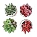 AmyHomie 15 Bundles Artificial Flowers Outdoor UV Resistant Faux Flowers No Fade Fake Plastic Plants Garden Porch Window Box Decorating ( Yellow ), 15pcs (8541836554)