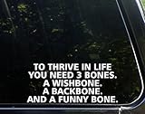 To Thrive In Life You Need Three Bones A Wishbone A