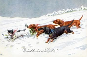 dachshund new year