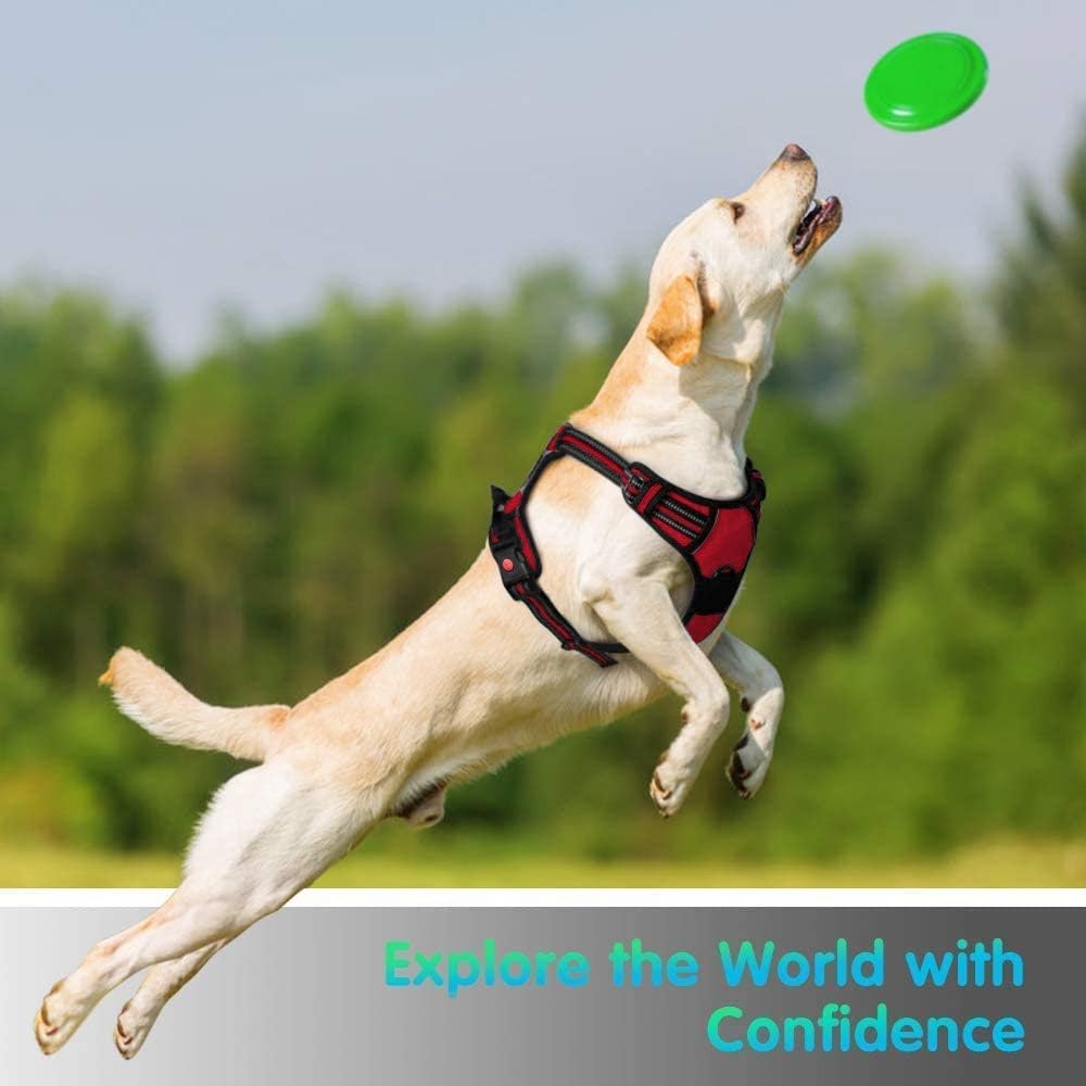 TBM GIYOOMI No Pull Dog Harness, Red, L (Chest: 60-73cm | Neck: 42-68cm) - Image 4