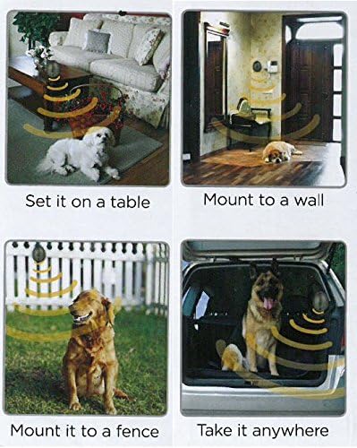 the egg dog bark control