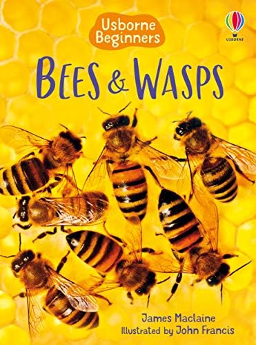 Bees and Wasps (Beginners)