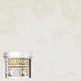 VASARI Lime Plaster & Paint | LIME PAINT | Made from Natural Lime and Powdered Marble | color: Dolomite #14 | size: 1 Quart