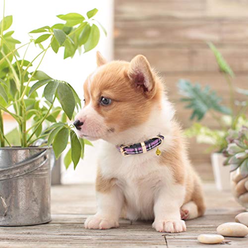 KOOLTAIL Soft Leather Puppy Dog Collar - Cute Plaid Dog Collars for Puppies & Cats - 3 Pack Durable PU Leather Collar with Bell for Pets Daily Wearing