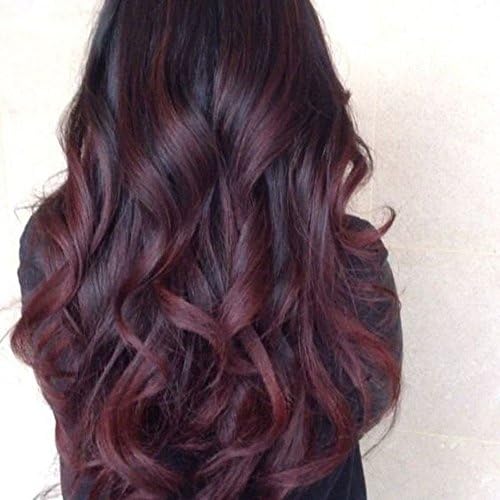 Fennell 8A Brazilian Human Hair Body Wave Burgundy Ombre Lace Front Wig With Baby Hair Human Hair Full Lace Wig 150% Density Ombre Wigs For Women (Lace front wig 26 inches)