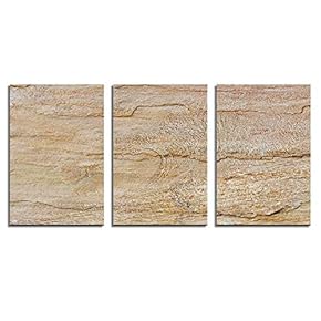 Canvas Wall Art Abstract Vintage Style Painting Artwork for Home Prints Framed - 16"x24" x 3 Panels