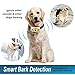 Dog No Bark Collar with Smart Detection Vibration and Harmless Shock- Rechargeable Anti Barking Device for Small Medium and Large Dog (Gold)thumb 2