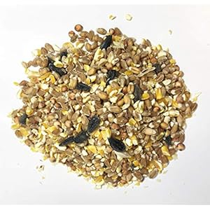 Pet Performance Four Season Wild Bird Seed Mix 20kg - All Year Round Wild Bird Feed With Black Sunflower Seeds - 100…