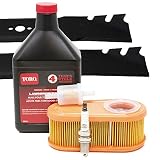 Toro Time Master (Serial Range 312000001 to 313999999) Tune-up Kit
