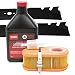 Toro Time Master (Serial Range 312000001 to 313999999) Tune-up Kit primary