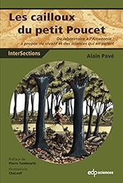 Les  cailloux du petit Poucet