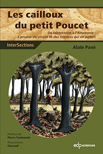 Les  cailloux du petit Poucet