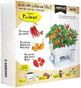 Huerto Urbano - Seed Box Picante - Batlle: Amazon.es: Jardín