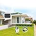 COVONO Pet Containment System, Electric Dog Fence (In-ground/Aboveground Installation,Waterproof/Rechargeable Collar,Static/Tone Correction, Support 2 Dogs/Cats)thumb 1