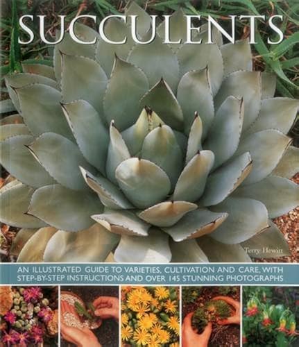 Download Succulents: An Illustrated Guide to Varieties, Cultivation and Care, With Step-by-step Instructions and over 145 Stunning Photographs PDF