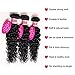 Younsolo Brazilian Water Wave 3 Bundles with Closure Water Wave Hair Bundles with Closure 9A Unprocessed Virgin Human Hair Curly Water Wave Human Hair Extensions(8 10 12+8, Jet Black)