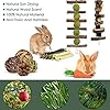 ERKOON-Rabbit-Toys-Hamster-Small-Animals-Treats-Bunny-Chinchilla-Chew-Toy-for-Teeth-Natural-Apple-Wood-Sticks-Boredom-Breaker-for-Guinea-Pigs-Chinchillas-Gerbils-Molar ERKOON Rabbit Toys, Hamster Small Animals Treats Bunny Chinchilla Chew Toy for Teeth Natural Apple Wood Sticks Boredom…