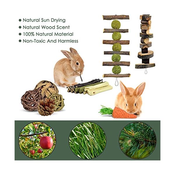 ERKOON-Rabbit-Toys-Hamster-Small-Animals-Treats-Bunny-Chinchilla-Chew-Toy-for-Teeth-Natural-Apple-Wood-Sticks-Boredom-Breaker-for-Guinea-Pigs-Chinchillas-Gerbils-Molar ERKOON Rabbit Toys, Hamster Small Animals Treats Bunny Chinchilla Chew Toy for Teeth Natural Apple Wood Sticks Boredom…