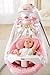 Fisher-Price Papasan Cradle Swing, Butterfly Garden
