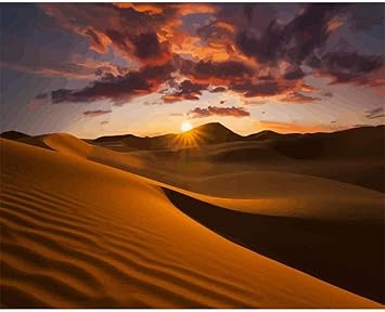 Pintura por números Desierto del Sahara Pintura al óleo para niños