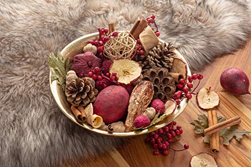 image for Andaluca Apple Cider Cinnamon Scented Potpourri | Made in California |
