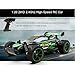 RC Cars 1:20 Scale High Speed Remote Control Car 2.4 GHz Off Road Fast Racing Drifting Buggy Hobby Car 2WD Electric Vehicle for Kids Boys (Green)