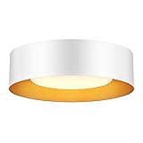 Yiisem Modern White and Gold Flush Mount Ceiling