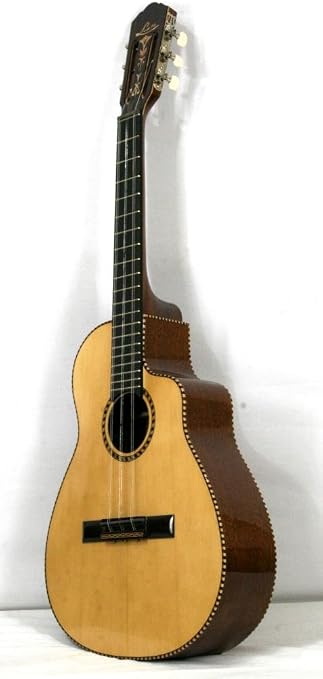 Guitarra cubana de cuerdas dobles | Las mejores guitarras