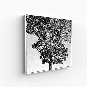 Canvas Wall Art for Living Room, Bedroom Monochrome Image Framed Canvas Prints for Home Decoration Ready to Hang - 16x16 inches