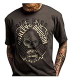 Harley-Davidson Men's Powerful Skull Wings Short Sleeve T-Shirt, Gray 5504-HC92