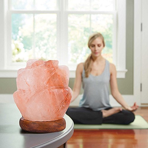 Niubity Himalayan Pink Natural Salt Lamp,USB Wooden Base Himalayan Crystal Rock Salt Lamp Air Purifier Night Light (Rose)