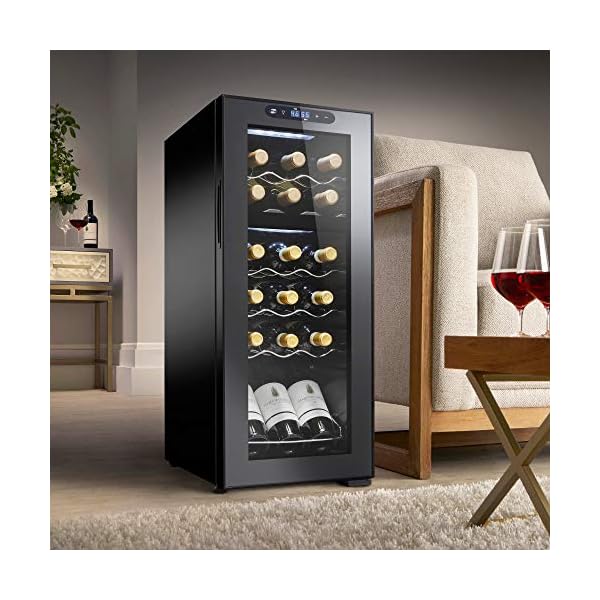 Wine-Enthusiast-18-Bottle-Dual-Zone-MAX-Compressor-Wine-Cooler