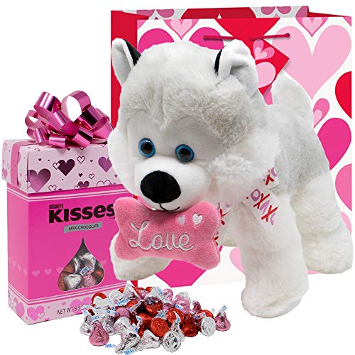 Valentines Day Gift Basket | 12 Inches Stuffed Plush Dog Puppy with Love Squishy Bone Pillow(COLOR MAY VARY) | Hersheys Kisses Milk Chocolate Box | V-Day Gift Bag & Card Tag | Her Wife Girlfriend