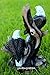 GARDENGREETERS American Bald Eagle Family Statue