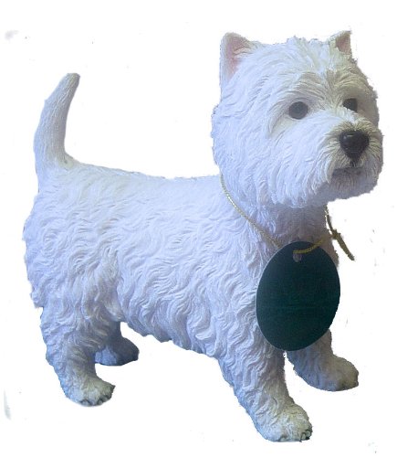 West Highland Terrier (Westie) Dog Ornament Dog Studies by Leonardo