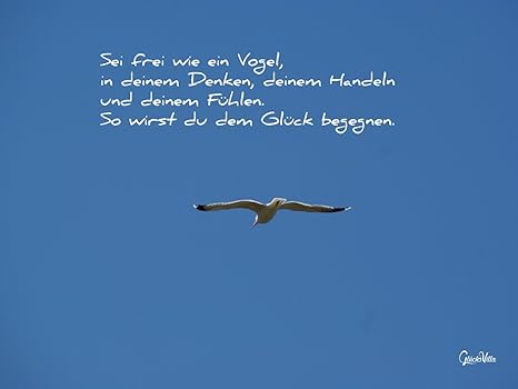 Sei Frei Wie Ein Vogel Poster A1 840 X 594 Cm 250 G