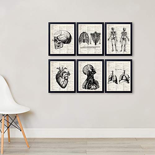 Anatomical Medical Art Vintage Book Art Print Set of 6, Unframed 8x10 Inch Human Skeleton Patent Picture