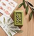 Thymes Bath Soap - 6 Oz - Olive Leaf